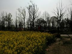 -白鹭湾湿地公园