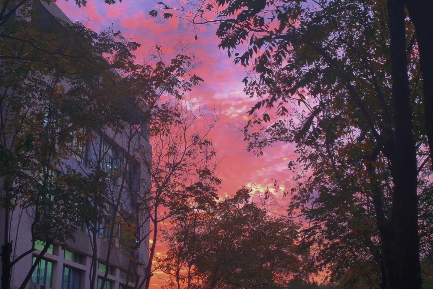 落日余晖 粉色晚霞