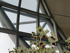 -曼谷素万那普国际机场
