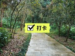 -鲤鱼洲酒店港鲤咖啡厅