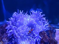 -绿色星球动物主题公园