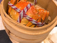 -上海龙之梦万丽酒店