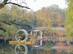 -上海共青森林公园