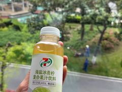 -亚马逊蒸汽活海鲜自助(LCM置汇旭辉广场店)