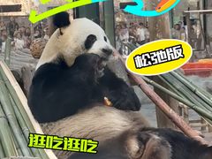 -栾川竹海野生动物园