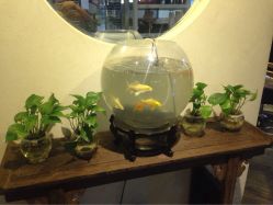 KINO SALON崎诺日式烫染无痕接发专门店(旗舰店)-KINO SALON崎诺日式美发造型沙龙