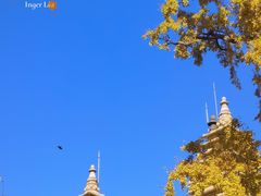 -北京石刻艺术博物馆
