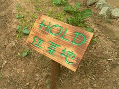 -茂德公草堂
