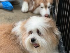 -TrueLove @ Neverland (Husky Cafe)