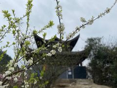 -贵阳市花溪国家城市湿地公园