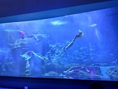 -多彩贵州城极地海洋世界