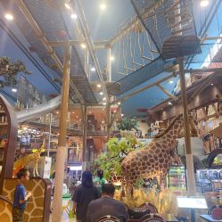 -卡通尼·Safari非洲探索乐园·生日会(金桥国际商业广场店)