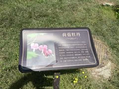 -莲花池公园