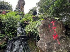 -海口火山口国家地质公园