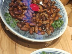 -鸽子窝(宋庄店)