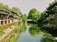 -运河游船(武林门码头)