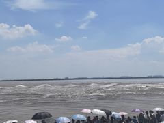 -观潮胜地公园