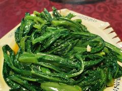 油麦菜-幽优农庄·森波拉特色本地农家菜