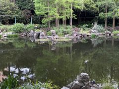 -中山公园