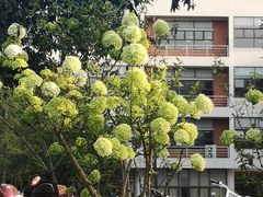 -西南民族大学南区(双流校区)