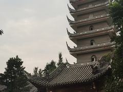 -生宇山珍野生菌汤锅•始于1999(双流古塔店)