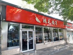-鸿毛饺子(紫竹桥店)