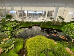 -罗红摄影艺术馆