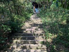 -杭州半山国家森林公园