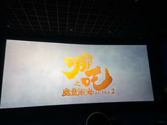 -华联影城(蒙城路店)