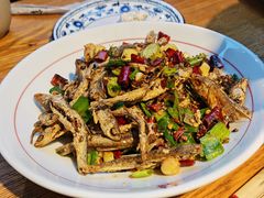 -印象鲵宴·张家界地标美食名片(溪布街店)