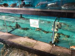 -钱大妈海鲜饭店(旅游大道店)