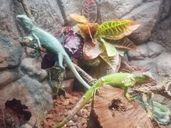 -成都浩海立方海洋公园