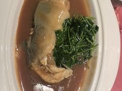 -沈灶河豚宴·河豚融合餐厅(汉中路店)