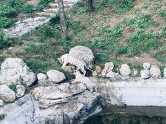 -石家庄市动物园