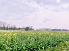 -中国天府农业博览园