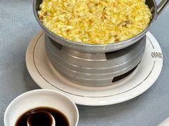 -丁老爷子苏香圆