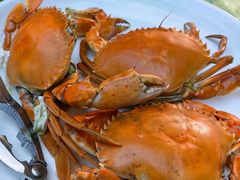 -沙田台山海鲜·酣客酒窖