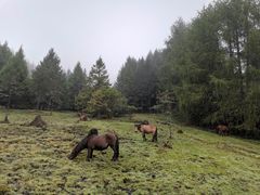 -硗碛藏寨·神木垒景区