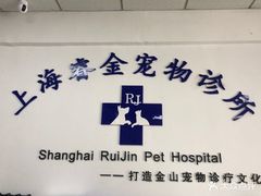 -睿金宠物医院·CT·肿瘤·骨外科