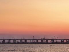 -宝安西湾红树林湿地公园
