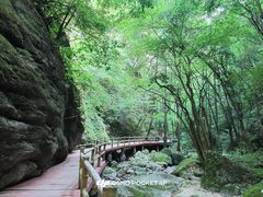 -牛背梁国家森林公园