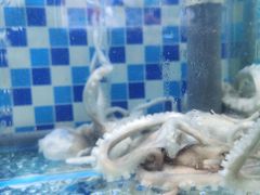 -蔚海之都·象山蒸汽海鲜(仙霞路店)