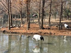 -扬州市茱萸湾风景区