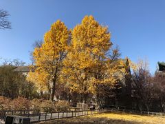 -迎泽公园