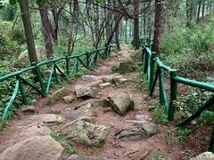 -鲁山国家森林公园