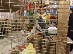 -潇湘·永州会馆(百子湾店)