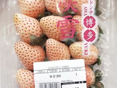 -凤城礼记鱼翅海鲜酒家(新马路总店)