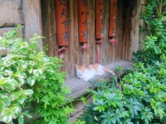 -五邑人家(江门店)