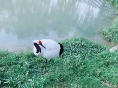 -上方山森林动物世界