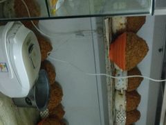-阿麟馄饨(延长路店)